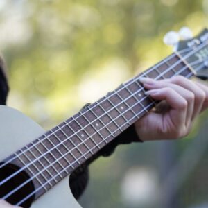 Kurs 44 - Ukulele in einem Tag